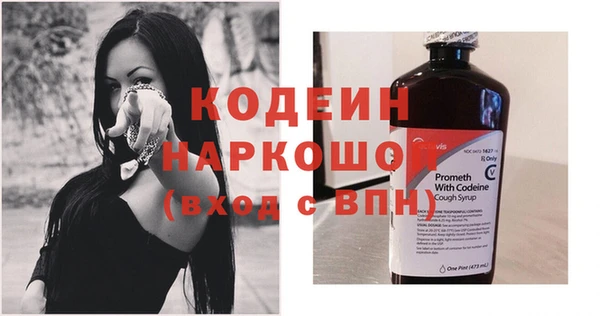 индика Бородино