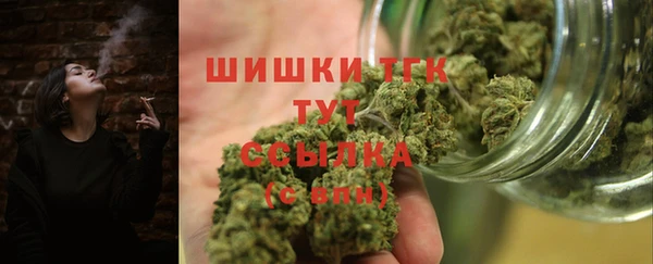 индика Бородино