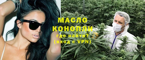 индика Бородино