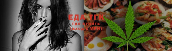 индика Бородино
