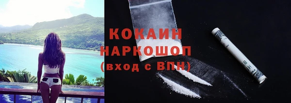 индика Бородино