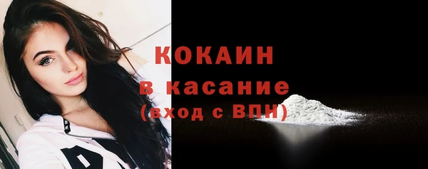 индика Бородино