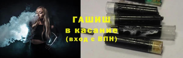 индика Бородино