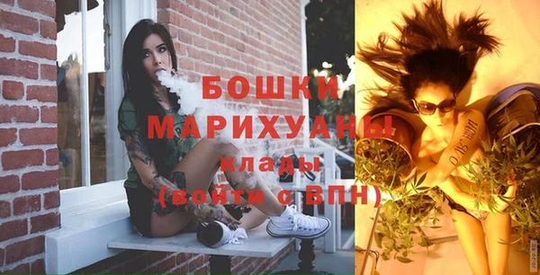 индика Бородино