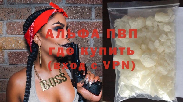 индика Бородино