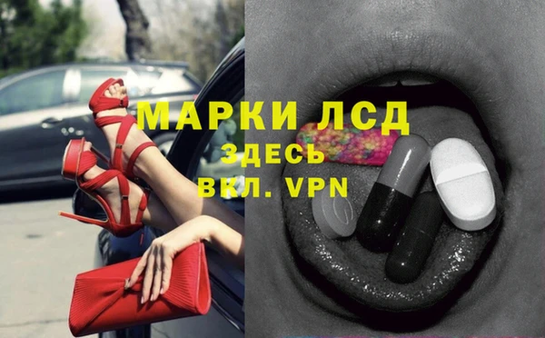 индика Бородино
