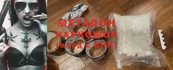 индика Бородино
