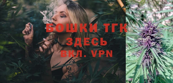 индика Бородино