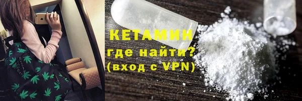 индика Бородино