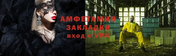 индика Бородино