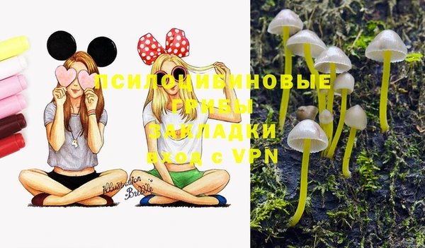 индика Бородино