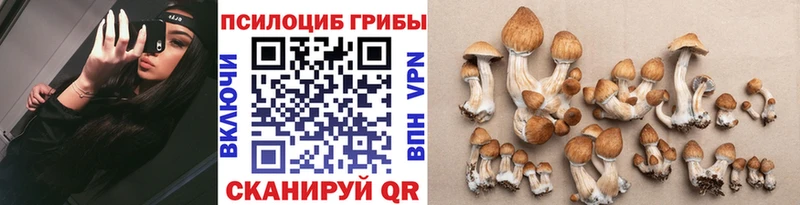 Псилоцибиновые грибы Magic Shrooms  Купить закладки  Майский 